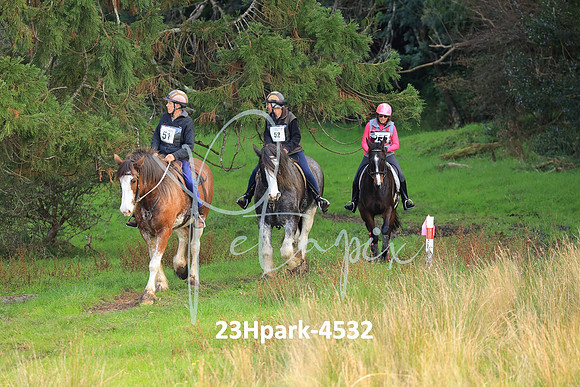 23Hpark-4532