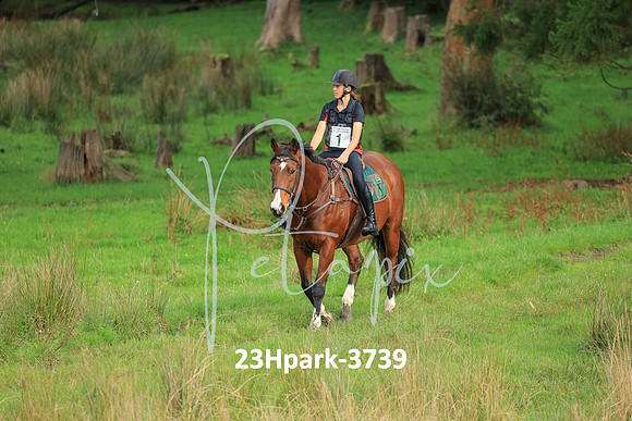 23Hpark-3739