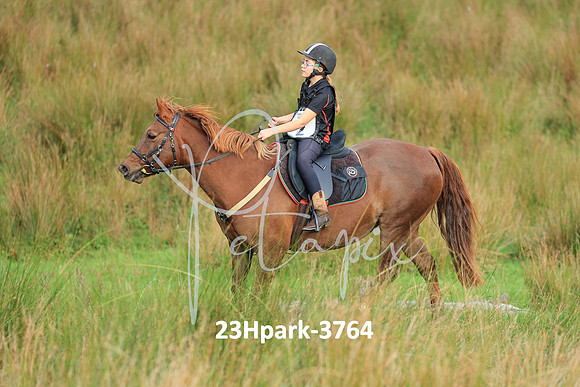 23Hpark-3764