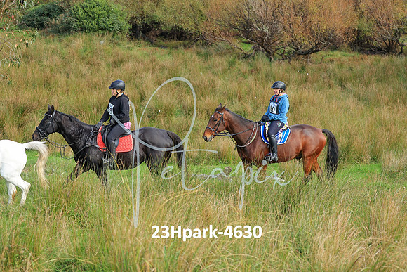 23Hpark-4630