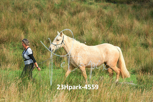 23Hpark-4559