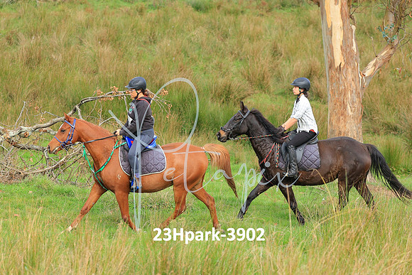 23Hpark-3902