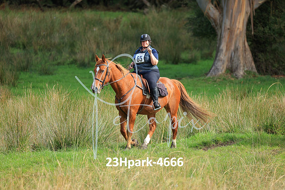 23Hpark-4666