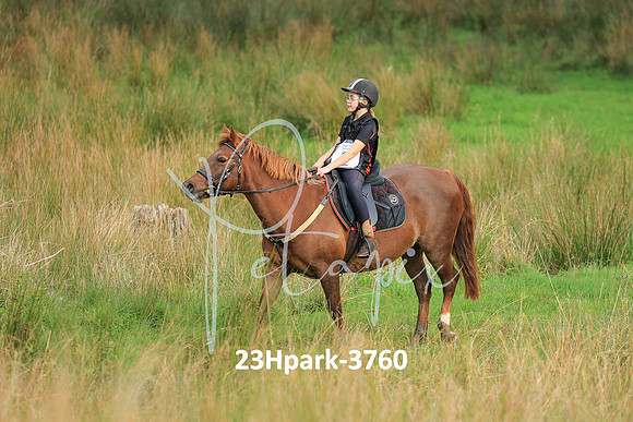 23Hpark-3760