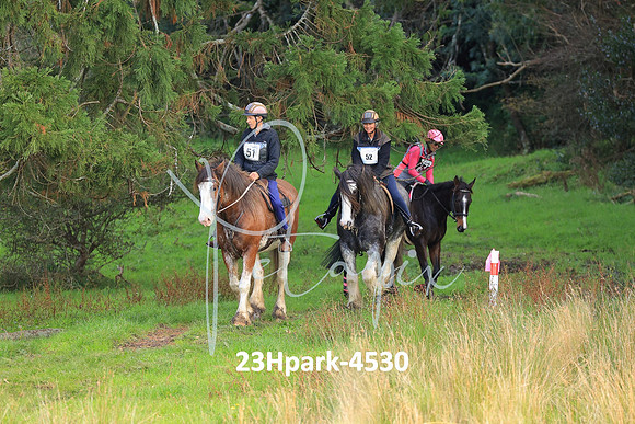 23Hpark-4530