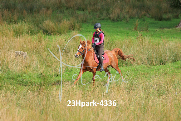 23Hpark-4336