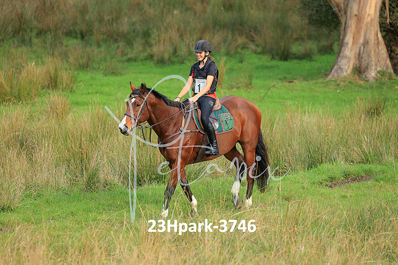 23Hpark-3746
