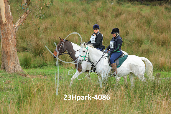 23Hpark-4086