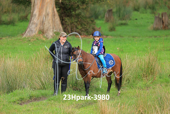 23Hpark-3980