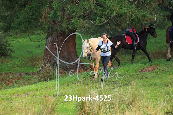 23Hpark-4525