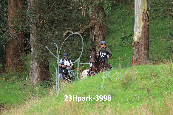 23Hpark-3998