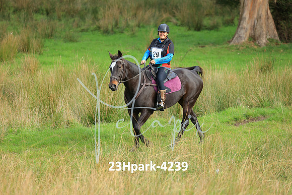 23Hpark-4239