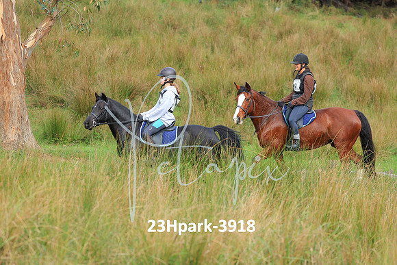 23Hpark-3918