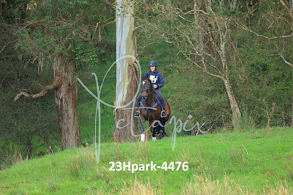 23Hpark-4476