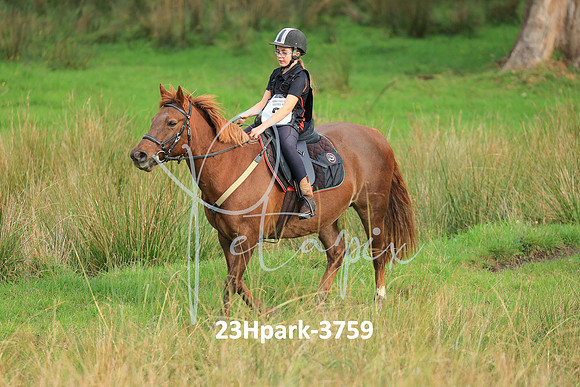 23Hpark-3759