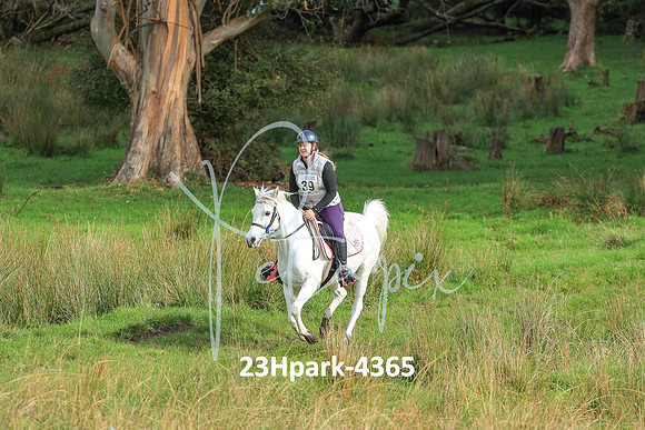 23Hpark-4365