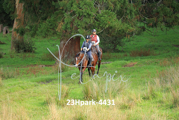 23Hpark-4431