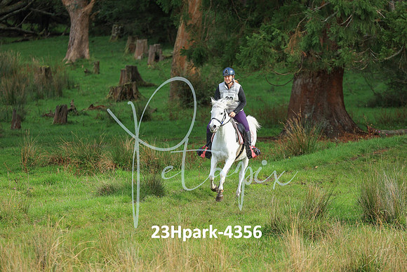 23Hpark-4356