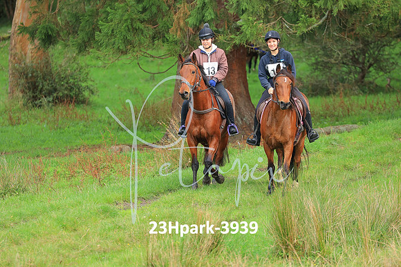 23Hpark-3939