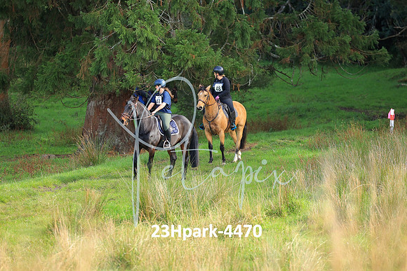 23Hpark-4470