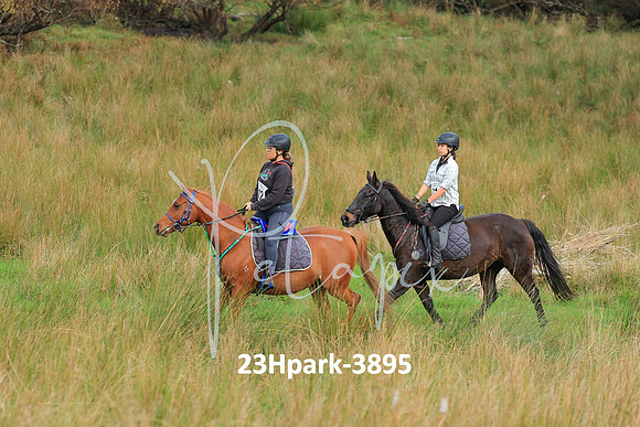 23Hpark-3895