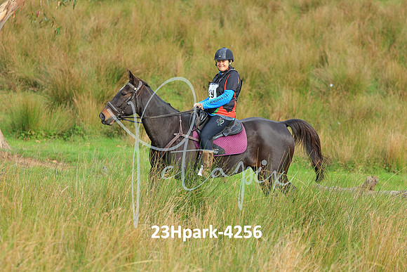 23Hpark-4256