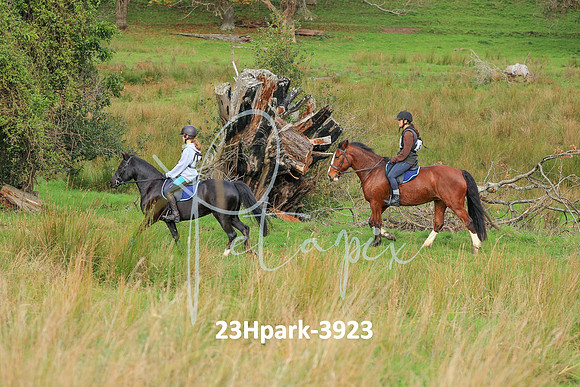 23Hpark-3923