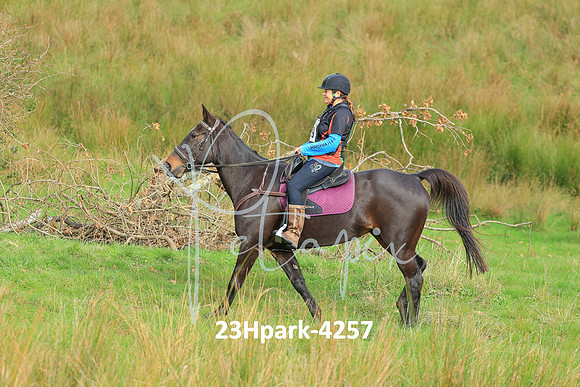 23Hpark-4257