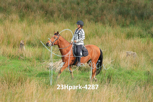 23Hpark-4287
