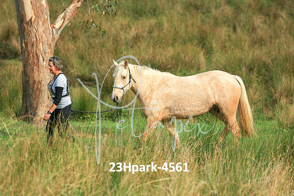 23Hpark-4561