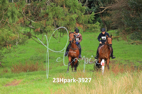 23Hpark-3927