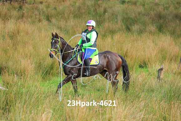 23Hpark-4621