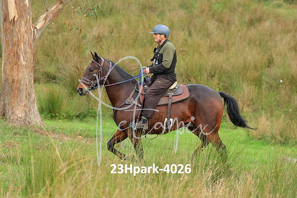23Hpark-4026