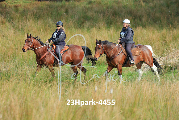 23Hpark-4455