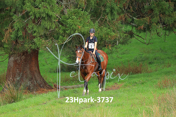 23Hpark-3737