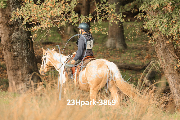 23Hpark-3869