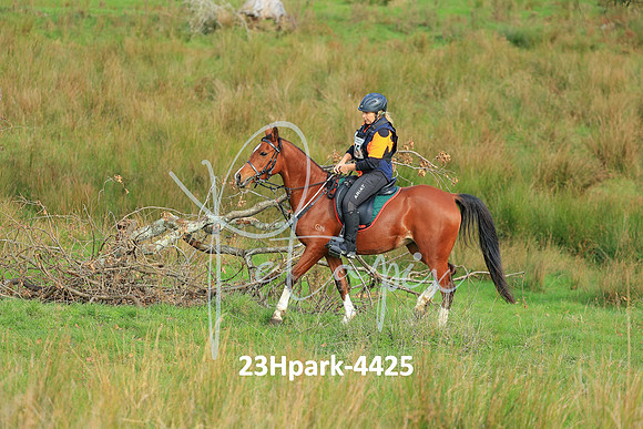 23Hpark-4425