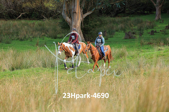 23Hpark-4690