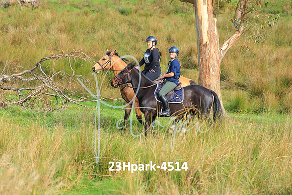 23Hpark-4514
