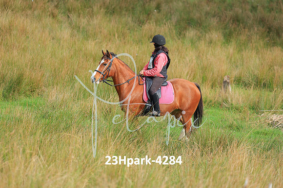 23Hpark-4284