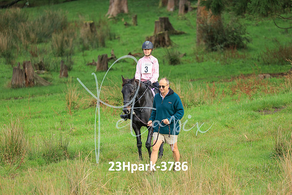 23Hpark-3786