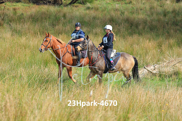 23Hpark-4670
