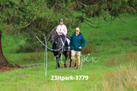 23Hpark-3779