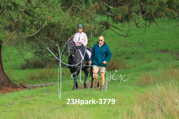 23Hpark-3779