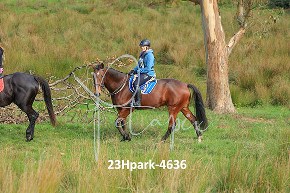 23Hpark-4636