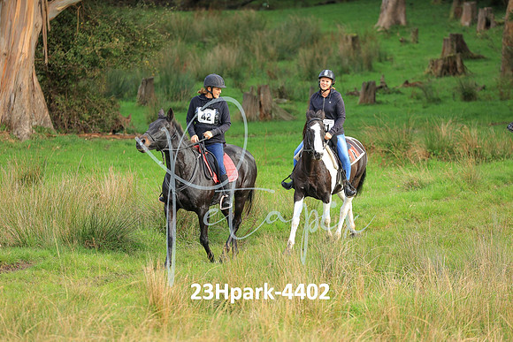23Hpark-4402