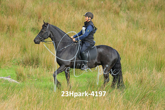 23Hpark-4197