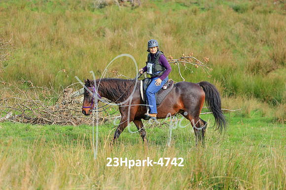 23Hpark-4742