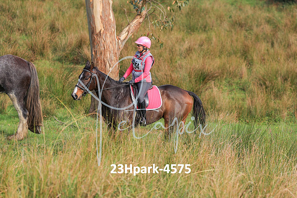 23Hpark-4575