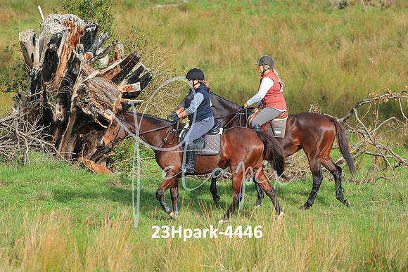 23Hpark-4446